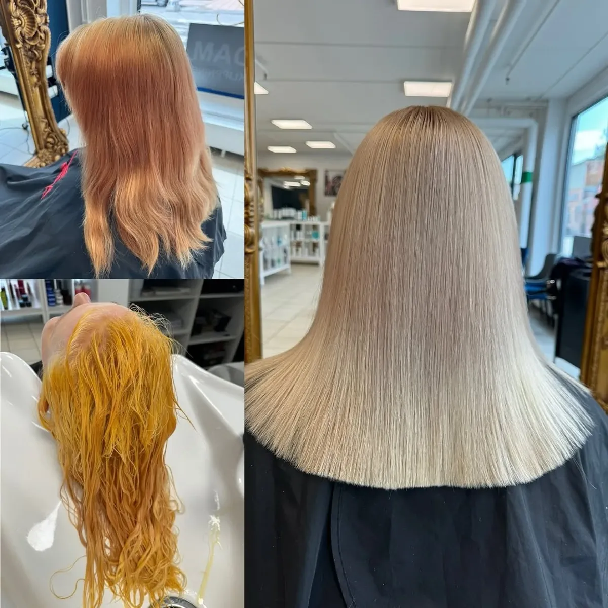 Brassigt → Isblond perfektion